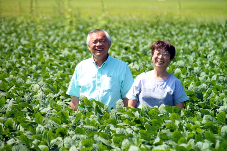 だだちゃ豆　白山だだちゃ豆　だだちゃ豆通販