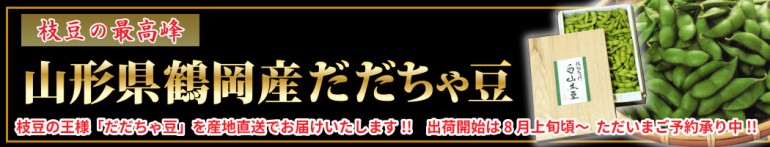 白山だだちゃ豆　殿様だだちゃ豆　だだちゃ豆