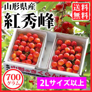紅秀峰　山形さくらんぼ　佐藤錦