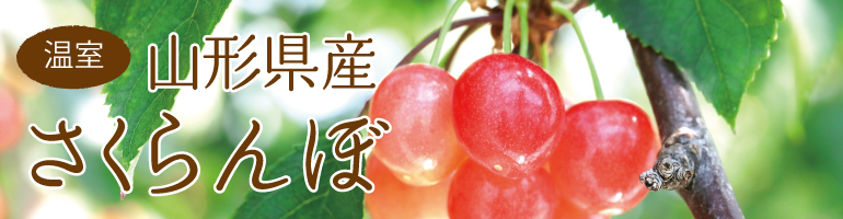 さくらんぼ 佐藤錦 の温室栽培とは 味の農園