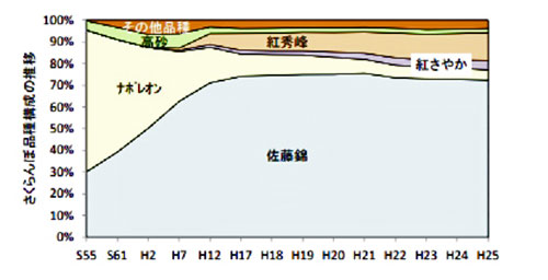 佐藤錦　サクランボ品種　山形さくらんぼ