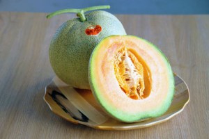 砂丘メロン　完熟メロン　メロン