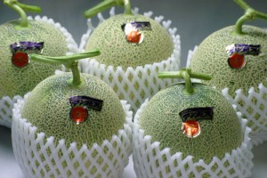 砂丘メロン　メロン　青肉メロン