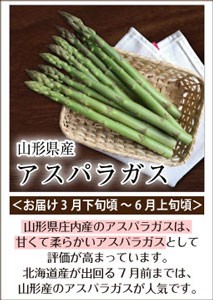 アスパラガス　砂丘アスパラガス　山形アスパラガス