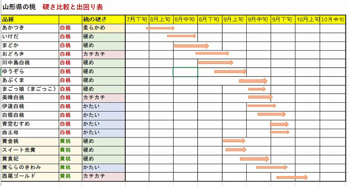 桃の出回り　桃硬さ　山形の桃