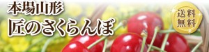 完熟さくらんぼ　佐藤錦　６月サクランボ