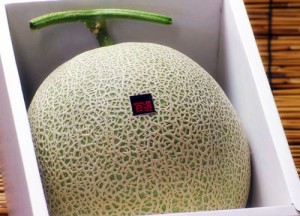 完熟メロン　砂丘メロン　青肉メロン