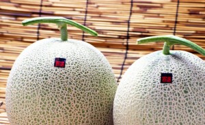 完熟メロン　砂丘メロン　メロン