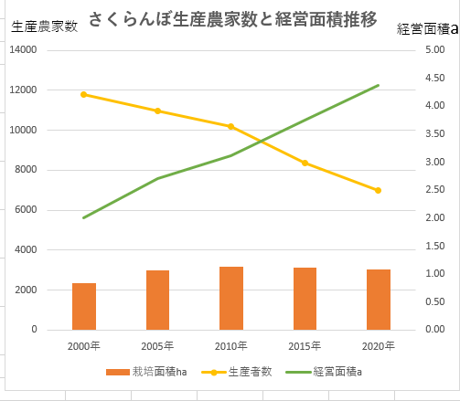 さくらんぼ生産　さくらんぼ栽培　さくらんぼ生産者