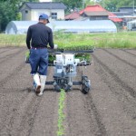 白山だだちゃ　だだちゃ豆　だだ茶豆