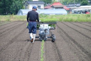 白山だだちゃ　だだちゃ豆　だだ茶豆