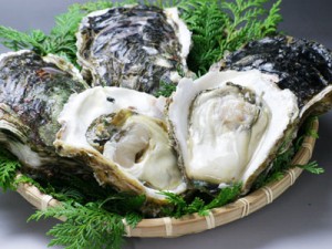 岩牡蠣　牡蠣　岩ガキ