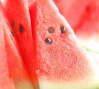 すいか切り方　スイカ　山形すいか