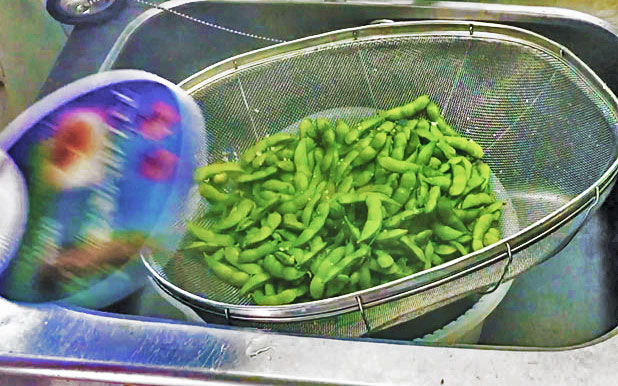 白山だだちゃ豆 だだちゃ豆通販 だだちゃ豆保存方法
