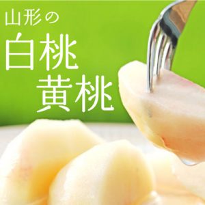 山形の桃　桃レシピ　桃通販