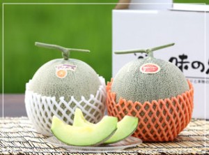 メロン　めろん　砂丘メロン