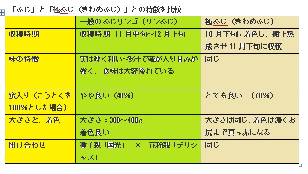 極ふじ（きわめふじ）　サンふじ　りんご通販