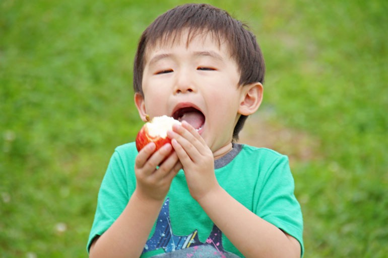 蜜入りりんご　蜜入りこうとく　早生ふじ