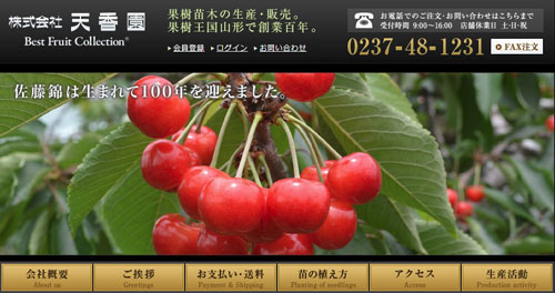 さくらんぼ通販　山形さくらんぼ　佐藤錦