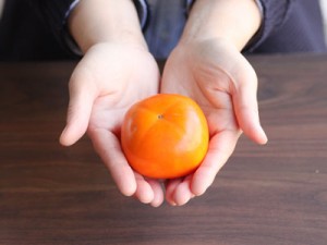 庄内柿　カキ　柿