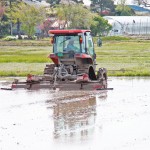 ▼▼お取り寄せはこちらから おコメ通販　お米通販　お米定期宅配 お米通販　おコメ通販　お米定期宅配