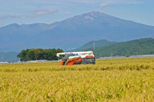 ▼▼お取り寄せはこちらから おコメ通販　お米通販　お米定期宅配 お米通販　おコメ通販　お米定期宅配