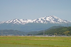 お米通販　つや姫　つや姫通販
