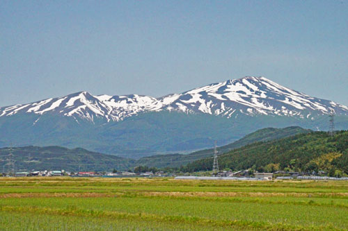 つや姫　亀の尾　庄内平野