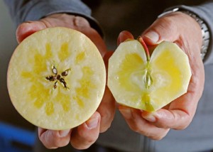 りんご通販　リンゴ通販　ふじりんご通販