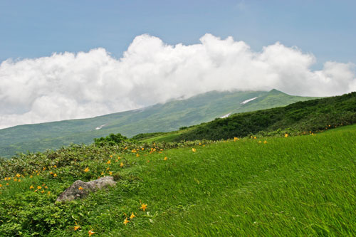 日本酒通販　山形の清酒　山形の日本酒