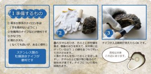 岩牡蠣通販　岩牡蠣　天然岩牡蠣
