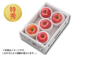 蜜入りりんご　こうとく