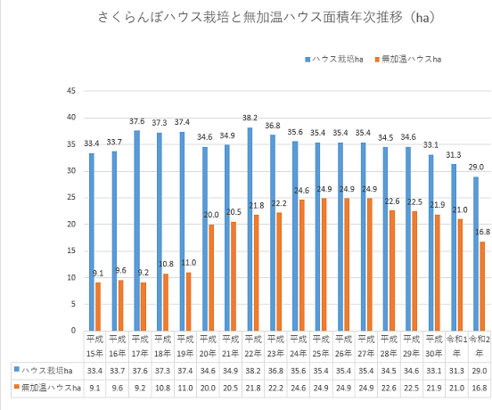 さくらんぼ栽培　温室さくらんぼ　山形さくらんぼ