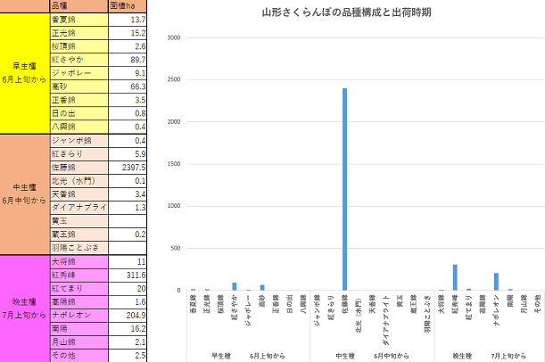 さくらんぼ品種　山形さくらんぼ　さくらんぼ時期