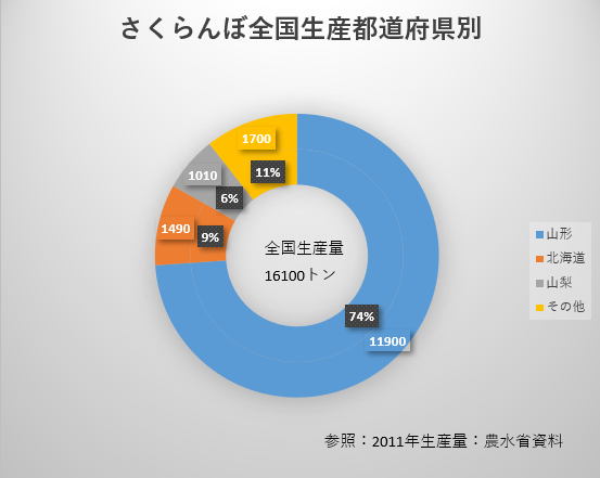 さくらんぼ狩り　さくらんぼ生産　佐藤錦