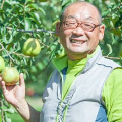 完熟ラフランス　山形ラフランス　ラフランスサイズ