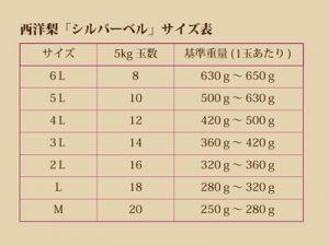 ラフランス通販　山形ラフランス　洋梨ラフランス