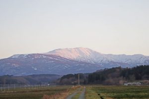 雪まろにんじんジュース　にんじんジュース通販　月山にんじん