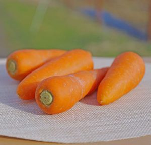 月山にんじん　月山高原　にんじん通販