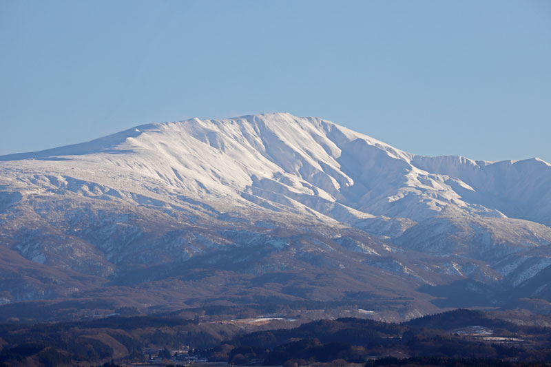 月山　月山高原　にんじん