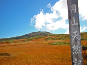 月山物語　月山高原　月山にんじんジュース