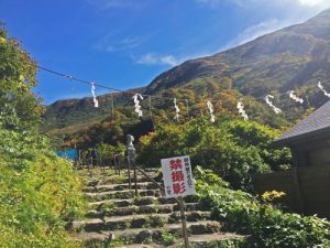 月山　月山物語　月山高原