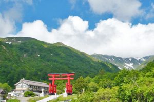 月山物語　月山高原　月山にんじん