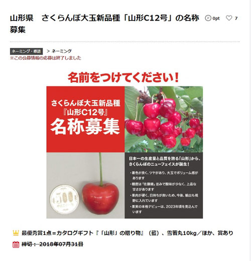 新さくらんぼ山形C12号は「やまがた紅王」に決まる｜味の農園