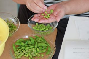 だだちゃ豆　プレミアム枝豆　枝豆王