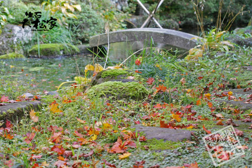 蕎麦　山形そば　大松家