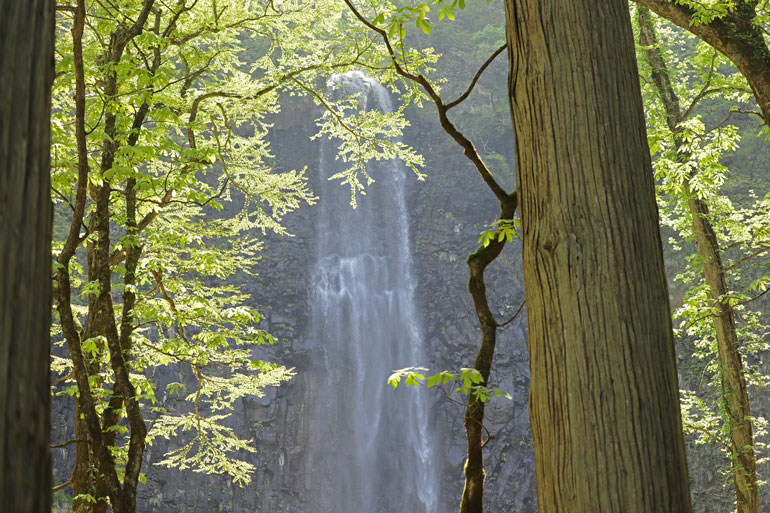 氷河水　天然水　鳥海山