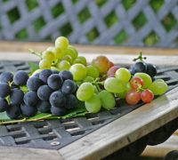 シャインマスカット　山形ぶどう　ブドウ