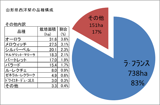 ラフランス栽培　山形洋なし品種　山形ラフランス