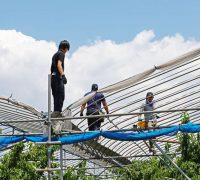さくらんぼ雨除けハウス　山形さくらんぼ